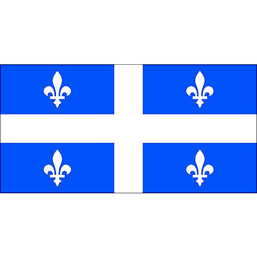 Flying Colours Nylon Quebec Flag, 9