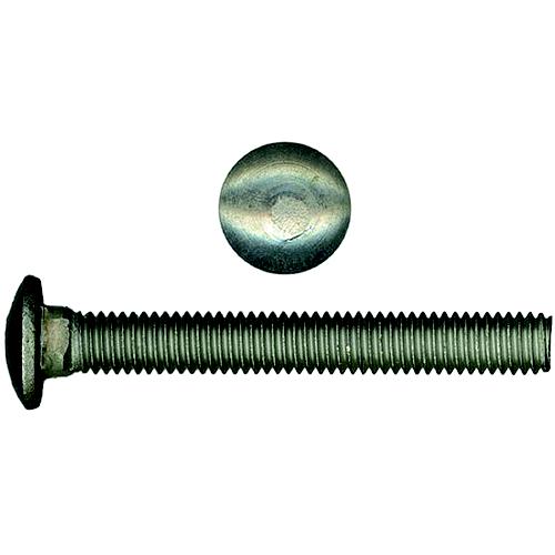 38X2121Cb Stainless Carriage Bolts, 3/8