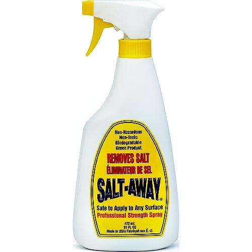 Salt-Away Sal16 Salt Remover, 16 Oz. Spray, 12/Case - Sa16 - 953-Sal16F1