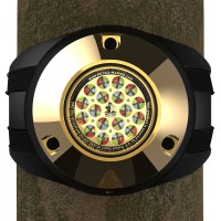CWR/100352XL