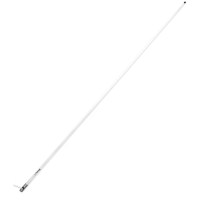 CWR/10636XL