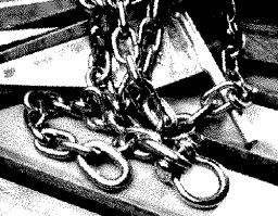 Danforth 3/8X6 Ss Chn W/Shackl - 95226 - 241-95226F1