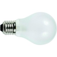 Ancor Light Bulb, Medium Screw Standard Base (2 Per Pack) - 532050 - 639-532050F1