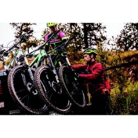 Swagman 64763 Paramount Tailgate Pad, Up To 61